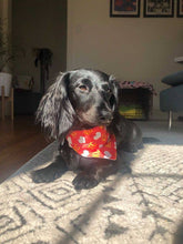 KC Heart Dog Bandana: S