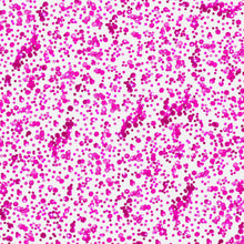 Chunky Confetti Glitter Gel - Neon Pink: Default Title