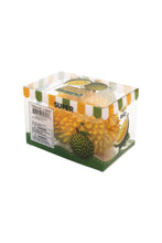 Durian Fruit Crunchy Bead Slime Filled TPR Squishy: GREEN/YELLOW / ONE SIZE