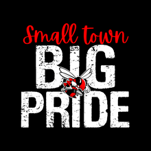 Small town, BIG Pride Hornets