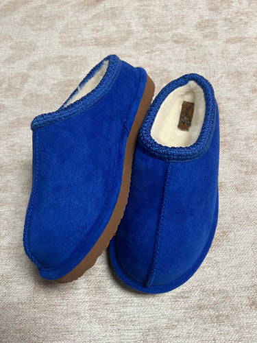 Cheers slides-blue