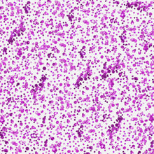 Chunky Confetti Glitter Gel - Neon Purple: Default Title