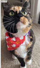 KC Heart Dog Bandana: L